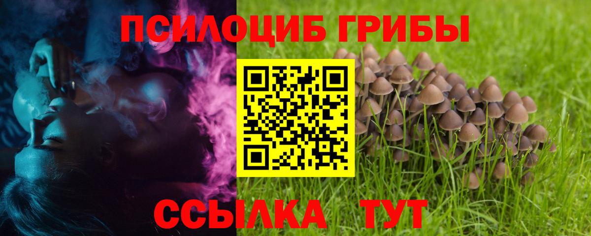 Галлюциногенные грибы Cubensis  Вход с VPN  Псилоцибиновые грибы GOLDEN TEACHER  Шелехов 